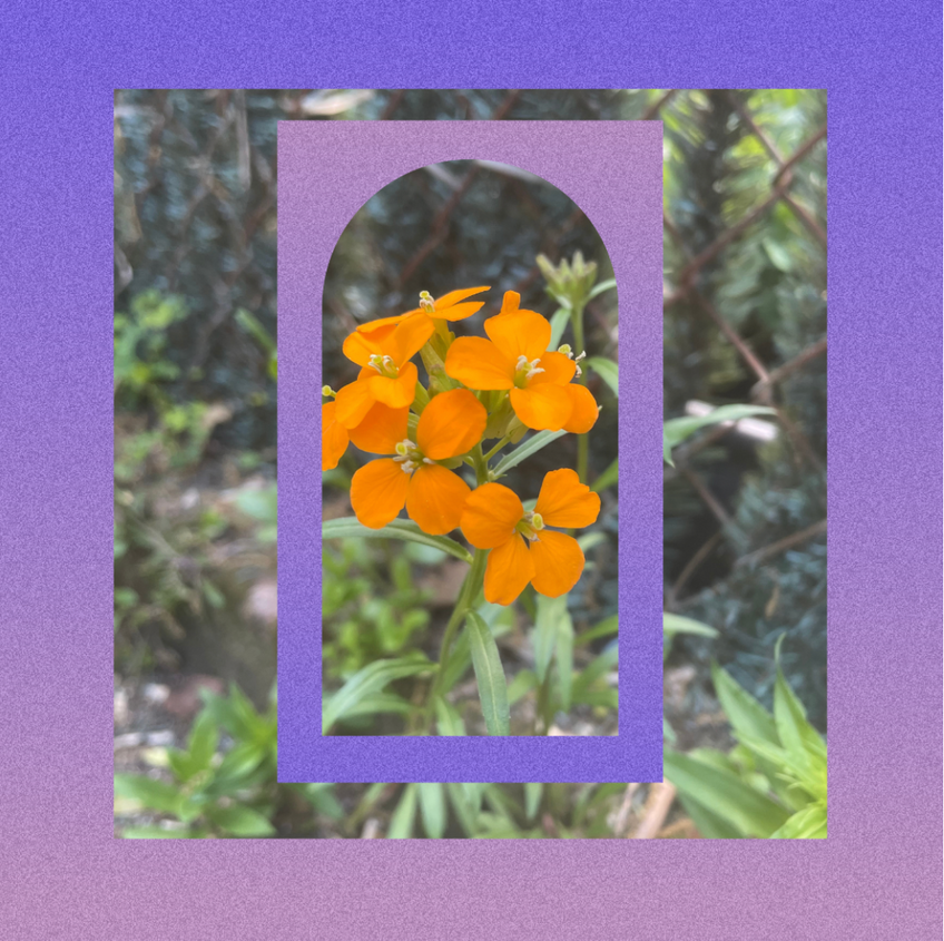 A Gathering for End of Life Doulas
